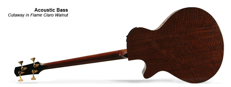 Acoustic Bass 01